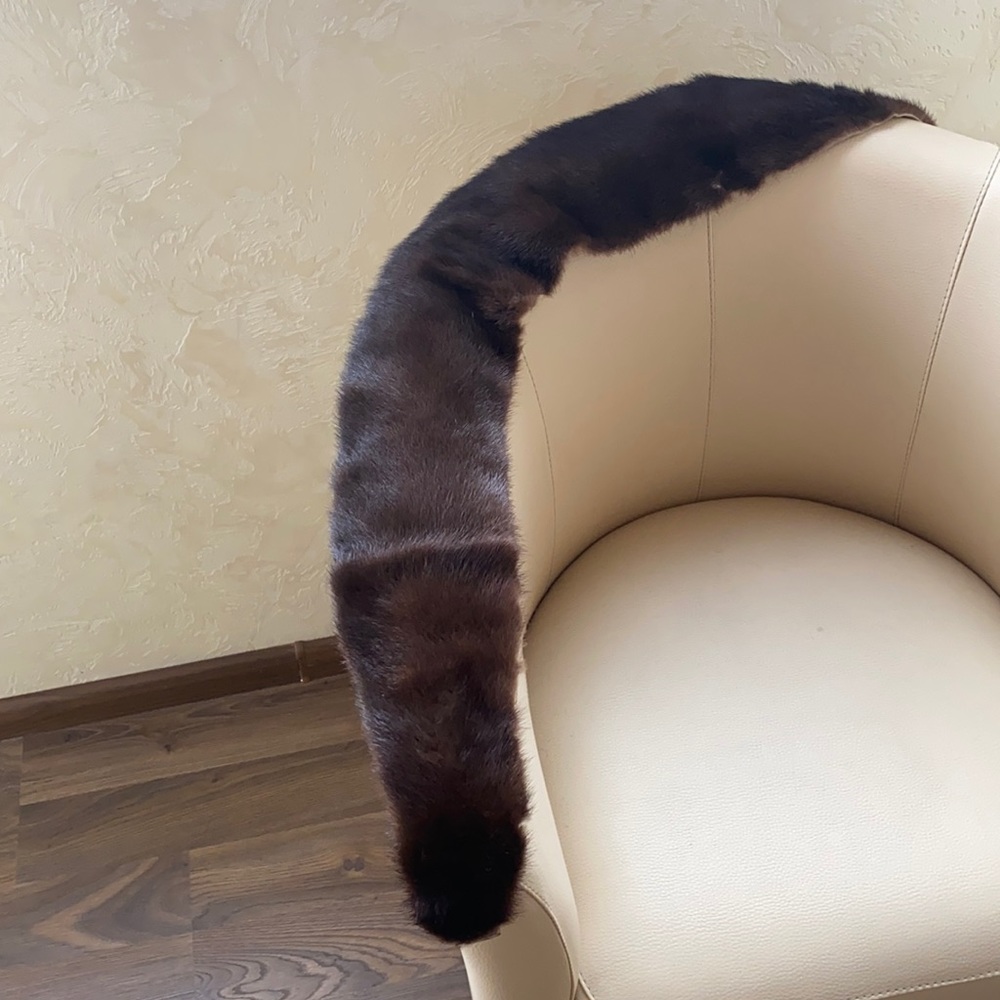 collar of two mink backs